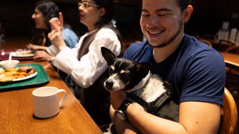Student with service dog in a Harvard dining hall. 