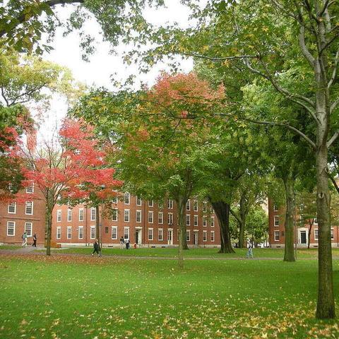 Harvard Yard
